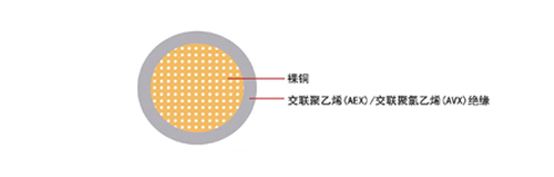 ܇(ch)늾(xin)AEX/AVX